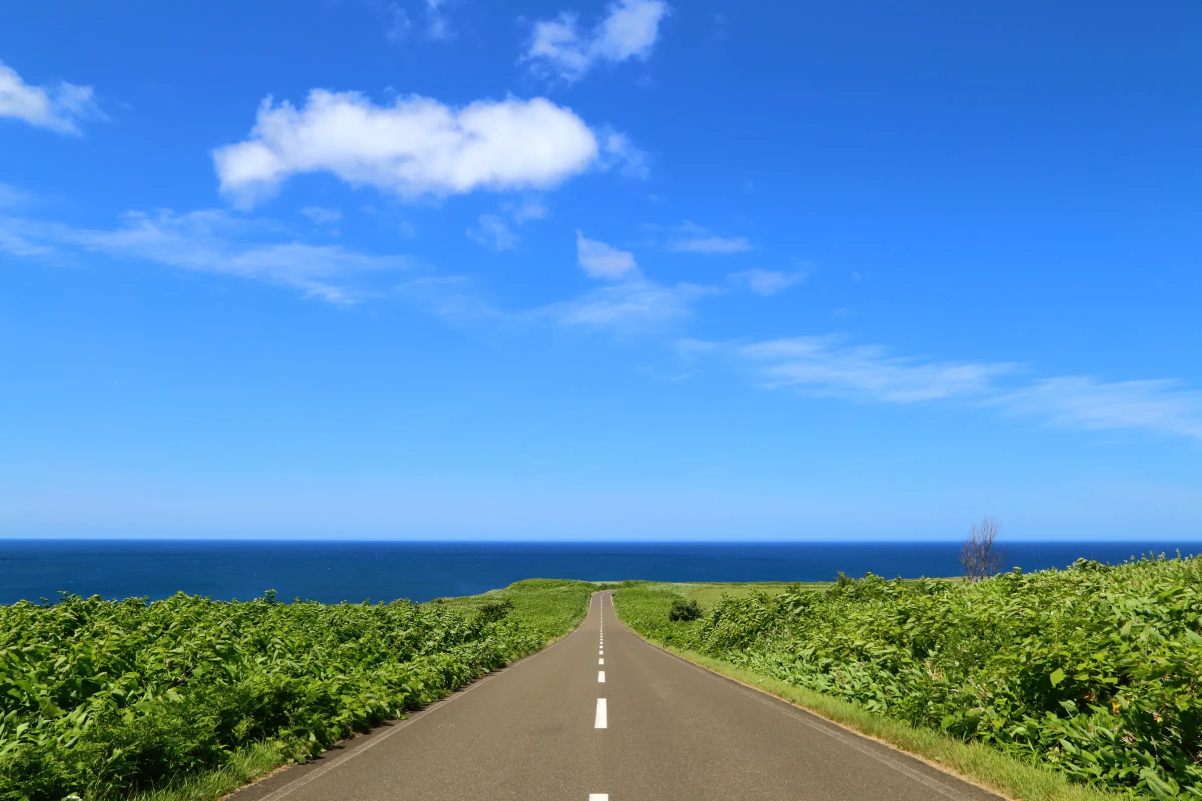 A straight road leading toward the Sea of Okhotsk at Cape Notoro, Hokkaido
