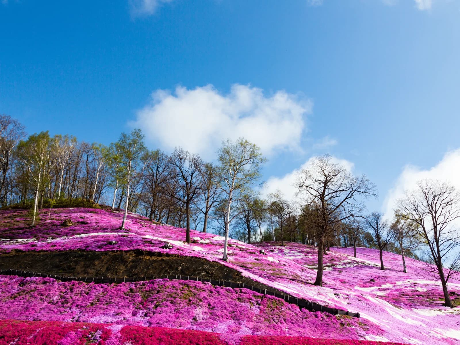 The natural landscape of Hokkaido in spring