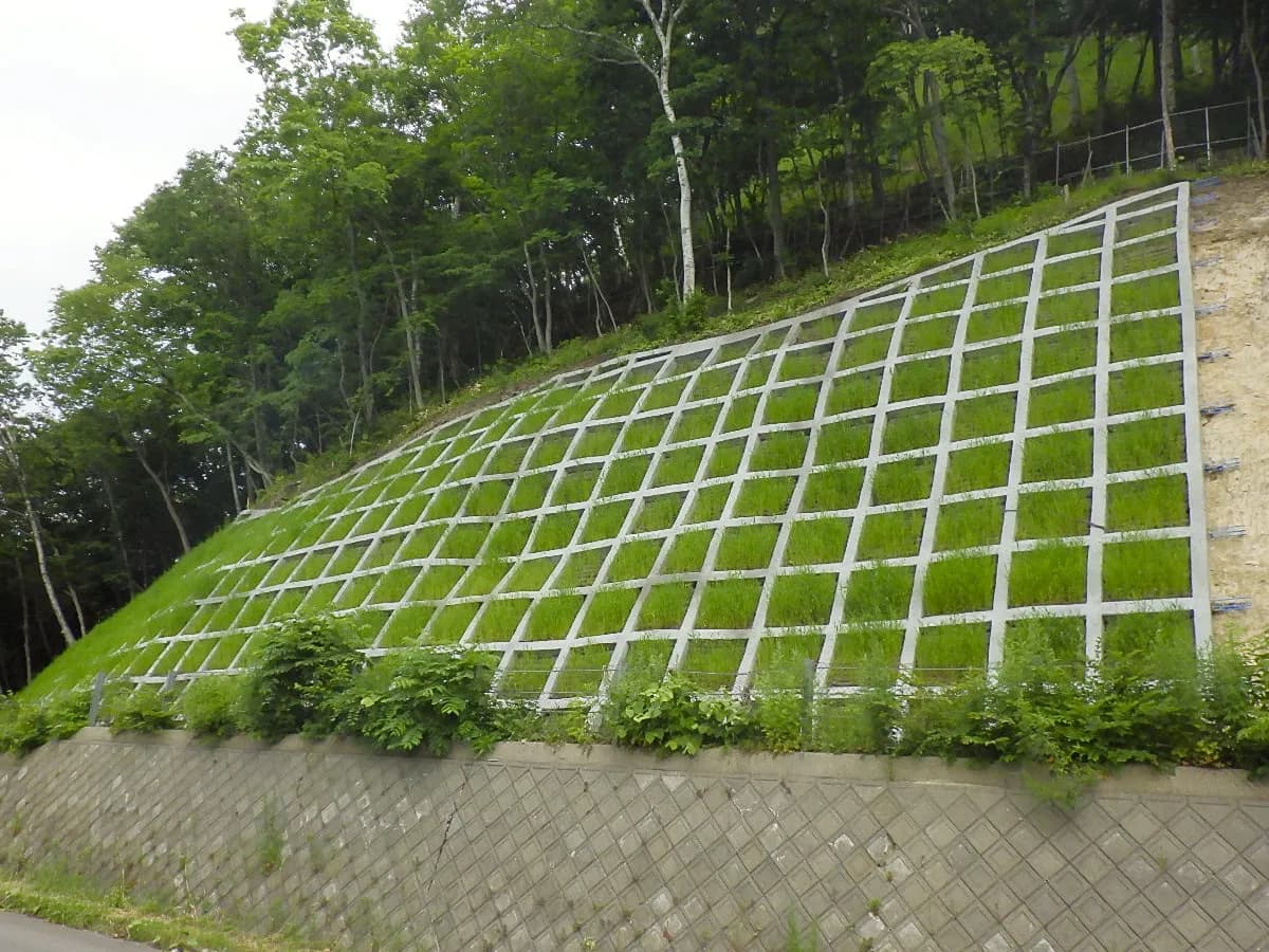 自生植物種での緑化の施工写真